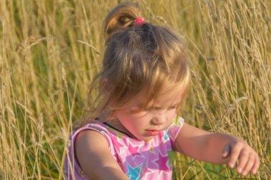 Güneşli yaz gününde bir çocuk tarlada çavdarla koşuyor.