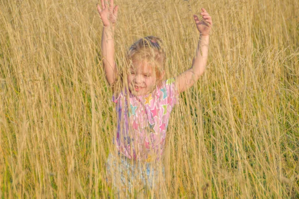 晴れた夏の日には子供がライ麦畑を走り回り — ストック写真