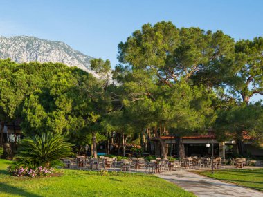 Otel, Türkiye'nin Güneydoğu bölümü için tipik sabahın erken saatlerinde. Masa ve sandalye büyük çam ağaçlarının altında açık havada. Kemer, Türkiye.