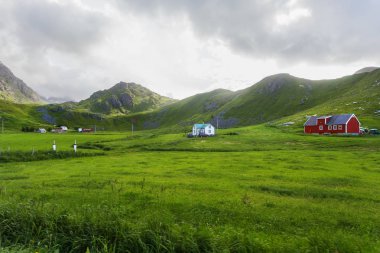 Çayırları, dağları ve köyü olan güzel bir İskandinav manzarası. Lofoten Adaları, Norveç.