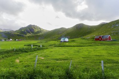 Çayırları, dağları ve köyü olan güzel bir İskandinav manzarası. Lofoten Adaları, Norveç.