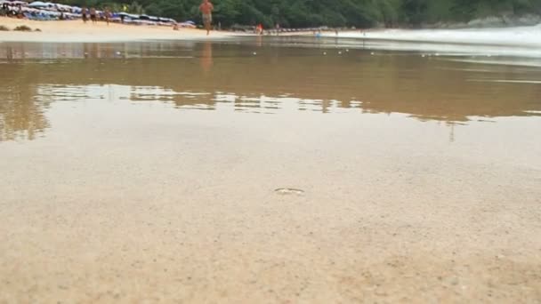 PHUKET, TAILANDIA - 19 de noviembre de 2012. Personas bañándose en olas y caminando en la playa de Nai Harn .. — Vídeo de stock