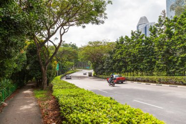 Singapore, Singapur - 16 Ocak 2013. Araba trafiği olan cadde boyunca ağaçlar büyümek. Singapur.