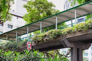 Araba trafiği olan cadde boyunca ağaçlar büyümek. Yaya yaya geçidi. Singapur.
