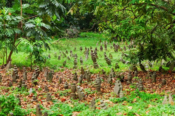 Kuburan Dengan Monumen Kecil Antara Rumput Pemakaman Singapura — Stok Foto