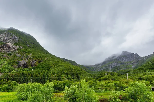 Prachtige Scandinavische Landschap Met Weiden Bergen Lofoten Eilanden Noorwegen — Stockfoto