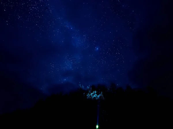 Sternspuren Auf Baumwipfeln Sternenklarer Nachthimmel Bei Bewölktem Wetter Kenoserski Nationalpark — Stockfoto