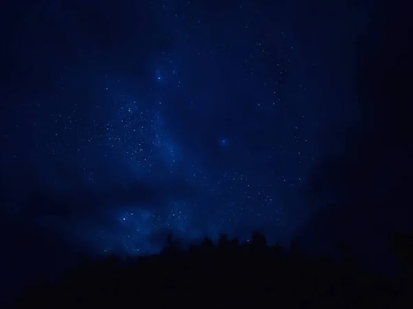 星星在树梢上的足迹 乌云密布的夜空 俄罗斯阿尔汉格尔斯克地区 Kenozersky 国家公园 — 图库照片