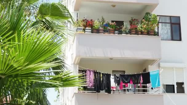 Balkon kapalı bitkiler ve çiçekler, giysi kurutma ile. Demre, Türkiye. — Stok video