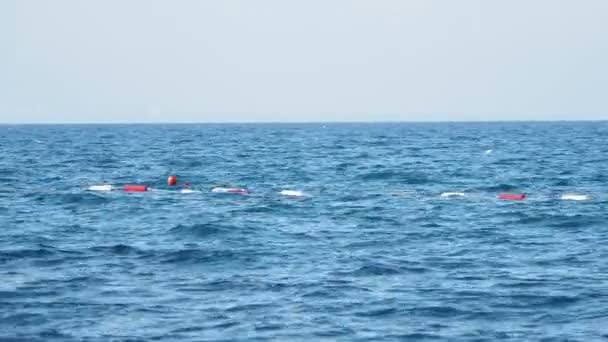 Boyas que limitan el área segura para nadar, balanceándose sobre las olas . — Vídeo de stock
