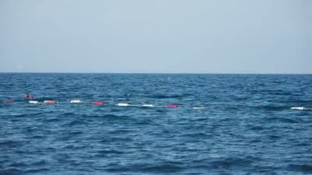 Bouées qui limitent la zone de sécurité pour la baignade, balançant sur les vagues . — Video