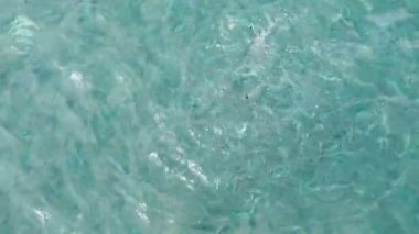 Balık yemi. Kristal berrak deniz suyunda ekmek yiyen küçük balıklar. Türkiye.