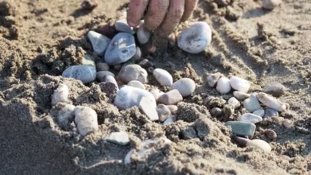 Bebê brincando na praia. Mãos cheias de areia. Jogos ao ar livre . — Vídeo de Stock