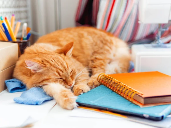 Die Süße Ingwerkatze Schläft Zwischen Büromaterial Und Nähmaschine Flauschiges Haustier — Stockfoto