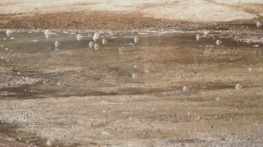 Yağmur damlası daireler ile su birikintisi yüzey. Asfalt kaplama yağmur altında.