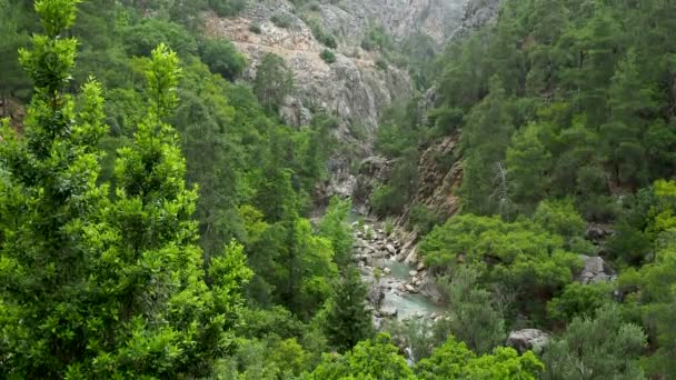 Rio Goynuk Flui Através Belo Desfiladeiro Marco Natural Província Antalya — Vídeo de Stock