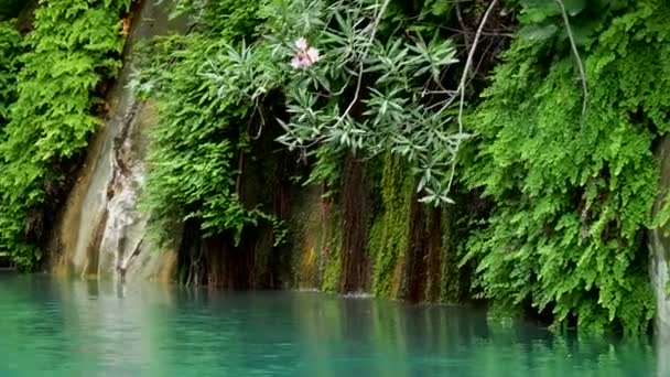 Goynuk river flows through a beautiful canyon. Natural landmark in Antalya province of Turkey. Water part of Lycian trail. — Stock Video
