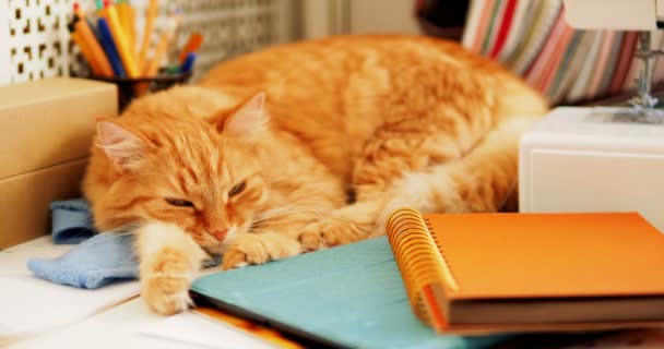 Cute ginger cat is sleeping among office supplies and sewing machine. Fluffy pet dozing on stationery. Cozy home background.