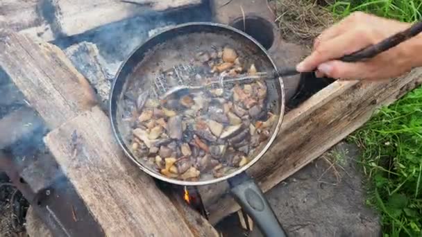 Приготовление грибов на сковороде. Летний лагерь на пляже. Национальный парк Кенозеро, Россия . — стоковое видео