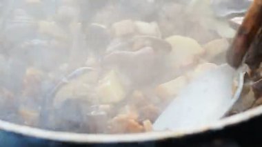 Tava üzerinde mantar yemek. Kumsalda kamp yaz. Kenozero Milli Parkı, Rusya Federasyonu.