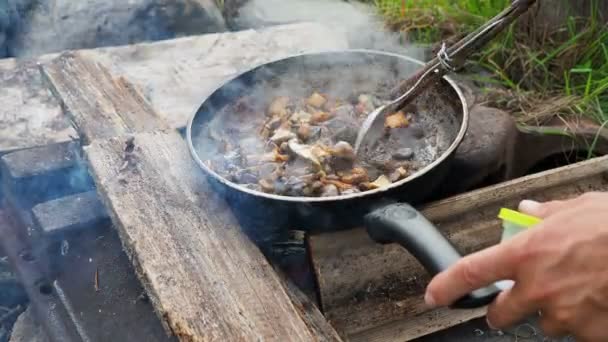 Champignons in der Pfanne kochen. Sommercamping am Strand. Kenozero-Nationalpark, Russland. — Stockvideo