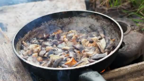 Champignons in der Pfanne kochen. Sommercamping am Strand. Kenozero-Nationalpark, Russland. — Stockvideo