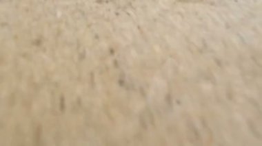 Deniz kumlu plajda sörf. Nai Harn beach, Phuket, Tayland.