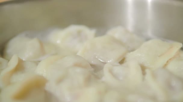 Кипящие пельмени. Горячая вода с традиционным блюдом русской кухни . — стоковое видео