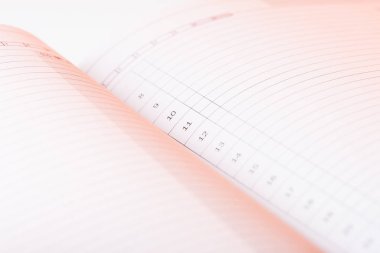 NET sayfaları tarihsiz günlüğü. Pembe ışık günlük planlayıcısı numaralı satırlarında düşüyor. Yapılacaklar listesi.