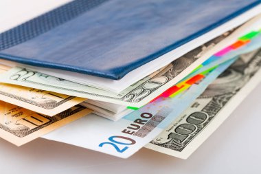 Farklı banknotlar günlük planlayıcısı sayfalar arasında. Dolar ve euro para birimi cinsinden günlüğü.