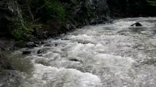 Snabb mountain river flyter runt Borjomi stad, Georgien land. — Stockvideo