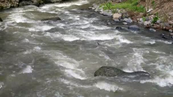 Rapido fiume di montagna scorre intorno alla città di Borjomi, Georgia paese . — Video Stock