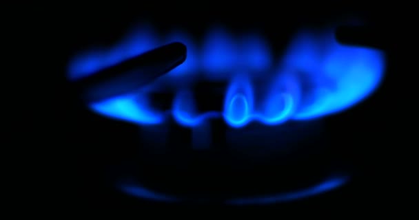 Blue flames of a gas in gas cooker. Fire on stove in dark. — Stock Video