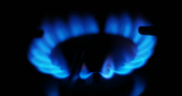Blue flames of a gas in gas cooker. Fire on stove in dark. — Stock Video