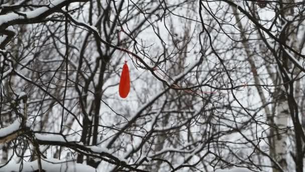 Geplatzter roter Luftballon steckte in Ästen fest. Baum mit Schnee bedeckt. Symbol der Hoffnungslosigkeit. — Stockvideo
