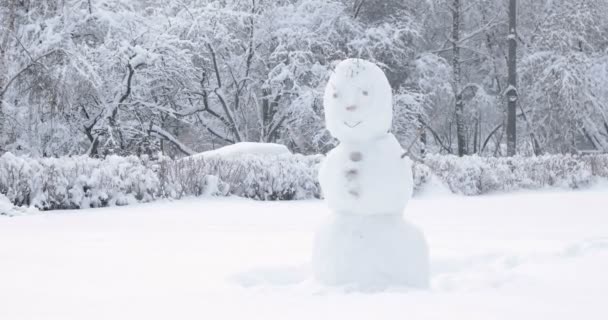 Bonhomme de neige fait main dans le parc. Animation extérieure hiver enfants . — Video