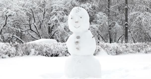 Hand made snowman in park. Children winter outdoor entertainment. — Stock Video