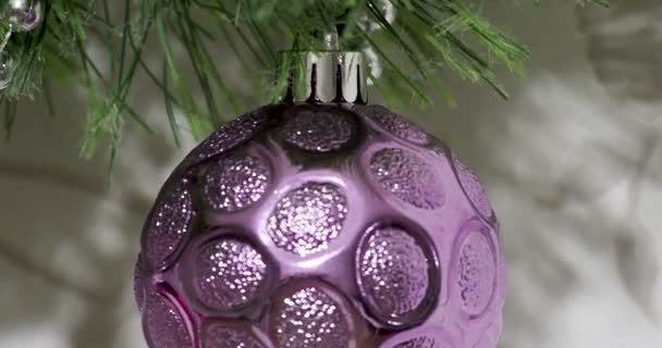 Χριστούγεννα και Πρωτοχρονιά φόντο με βιολετί λαμπερά μπάλα στο χριστουγεννιάτικο δέντρο υποκατάστημα. — Αρχείο Βίντεο
