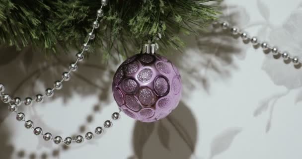 Christmas and New Year background with violet shiny ball on Christmas tree branch. — Stock Video