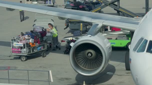 Déchargement des bagages de l'avion à l'aéroport. Les déménageurs déplacent les valises de la bande transporteuse sur le camion . — Video