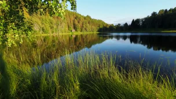 Lago Kenozero e ilhas. Vista no lago e na costa. Kenozerskiy National Park, Rússia . — Vídeo de Stock