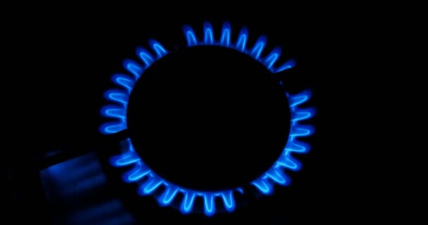 煤气灶中的气体的蓝色火焰。黑暗中的炉子上的火. — 图库视频影像