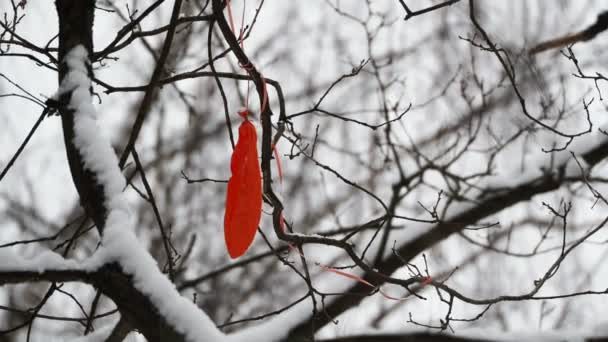 Bursted red air balloon stuck in tree branches. Tree covered with snow ...