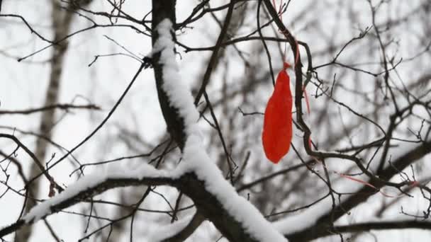 Geplatzter roter Luftballon steckte in Ästen fest. Baum mit Schnee bedeckt. Symbol der Hoffnungslosigkeit. — Stockvideo