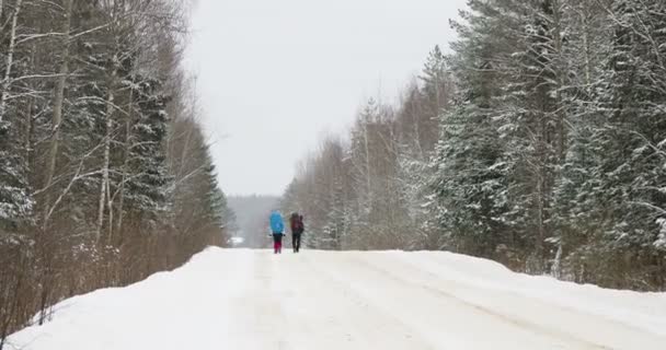 Dois turistas com mochilas vão em uma estrada coberta de neve através da floresta de inverno. Rússia . — Vídeo de Stock