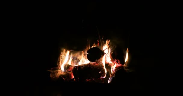 Wood burning in the fire. Winter camping in the forest. — Stock Video