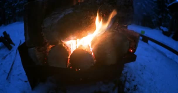 Madeira a arder no fogo. Acampamento de inverno na floresta . — Vídeo de Stock