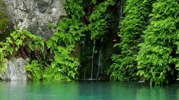Goynuk folyó átfolyik a gyönyörű canyon. Természeti adottsága, Antalya province, Törökország. Víz része lük nyomvonal. — Stock videók