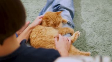 Kadın şirin zencefil kedi okşayarak. Rahat aile akşam evde. Zevk ile oynarken kabarık evde beslenen hayvan.