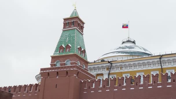 View on Kremlin Senate, Senate tower on Red Square. Moscow, Russia. — Stock Video